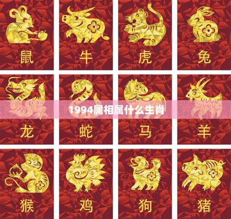 1994属|1994年属什么生肖